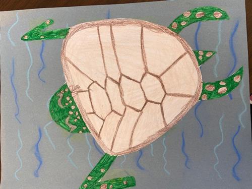 2nd Grade- Sea Turtle in Pastel and Marker